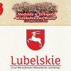 festyn 2023 prezentacja 13